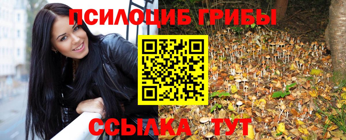 Псилоцибиновые грибы Cubensis  Вход с VPN  Чита  купить наркотик  Галлюциногенные грибы Psilocybine cubensis 